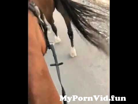 Girls and horse sex in Asunción