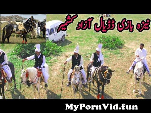 In horse Qiqihar with sex qiqihar virtual