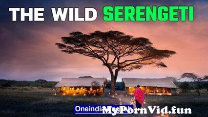Sex with the animals video in Dar es Salaam