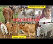 bakra Eid special cow kolkata
