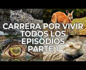 Free Documentary - Nature Español