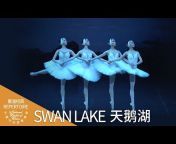 中央芭蕾舞团 National Ballet of China
