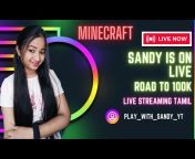 Play With Sandy YT
