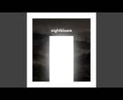 nightbloom - Topic