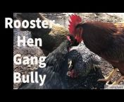 Roosters, Hens and Organic Gardening