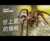 瘋狂生物中文頻道 Crazy Creatures Chinese