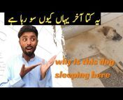 murtaza shalwani vlogs