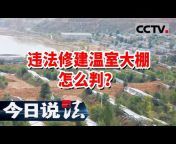 CCTV今日说法官方频道