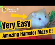 HamsterTV