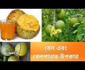 G Videos Bangla