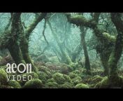 Aeon Video