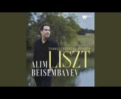 Alim Beisembayev - Topic