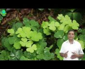Evergreen world - Dr. Jagan Singh
