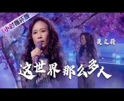 中国音乐电视 Music TV
