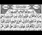 Daily Quran Tilawat