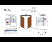 The ICU Curriculum