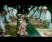 dolcett meat girl processing plant porn a Videos - MyPornVid.fun