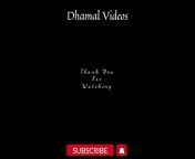 Dhamal video