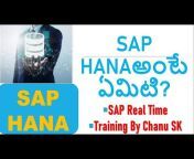 Chanu SK SAP Training in Telugu-Charismatic Coach
