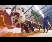 Nedap Livestock Management