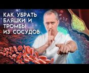 Видео блог Доктора Шишонина