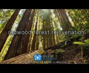 Nature Relaxation Films