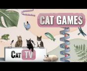 CAT TV