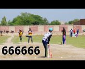 Cricket Dream
