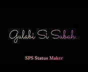 SPS Status Maker