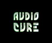 audiocure2012