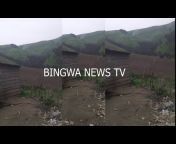 BINGWA NEWS TV