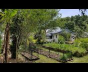 Homesteading in North Florida
