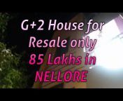 NELLORE COLLECTIONS