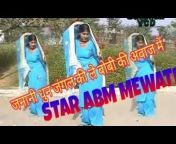 STAR ABM MEWATI