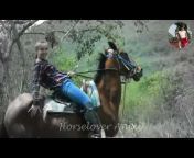 Crazy Horselover 🐴