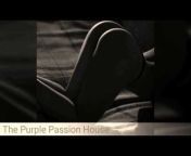 The Purple Passion House