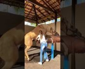 Kuda Ngentot Manusia - laki34 ngentot kuda Videos - MyPornVid.fun