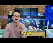 鱼贝贝锦鲤深水鱼科技