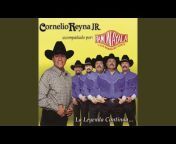 Cornelio Reyna Jr. - Topic
