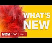 BBC What’s New / Actu Jeunes