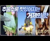 [채널 이전] KBS창원 라이프