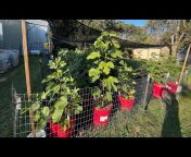 Figgy Pop Fig Farm and Permaculture Gardens