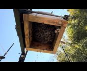Japanese natural beekeeping