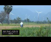 Mongabay India