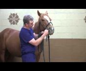 Horse Side Vet Guide - Equine Health Website u0026 Mobile App for Horse Owners u0026 Equine Professionals