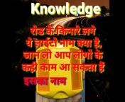 things of knowledge
