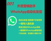 WhatsApp营销助手