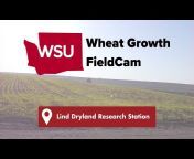 WSU Lind Dryland Research Station
