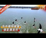 Hebei Moment 河北:精彩时刻的记录者