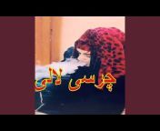 Raza Khan Qarabaghi - Topic